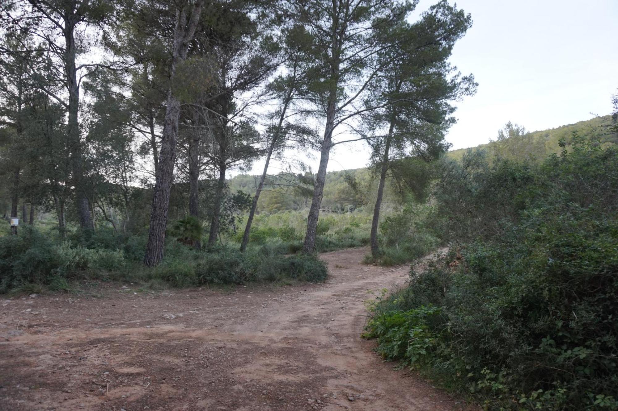 Chalet Font De Sa Cala Bagian luar foto